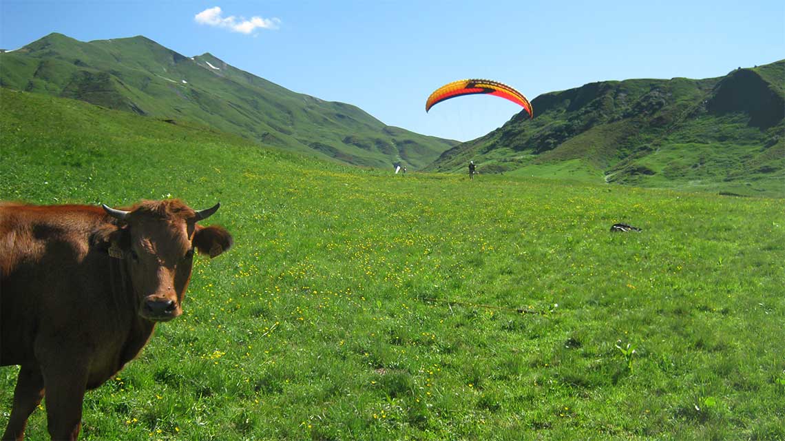 Tout le monde peut profiter du spectacle de l'initiation au parapente